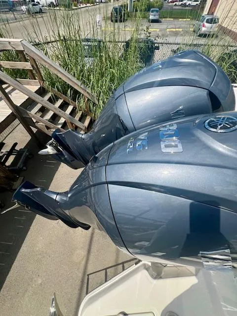 Slide: The Image of Sail Fish 316 DC 2025 - 14