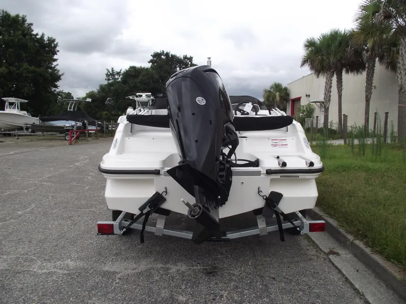 Slide: The Image of 2024 Bayliner Element M17 boat rear view. - 4
