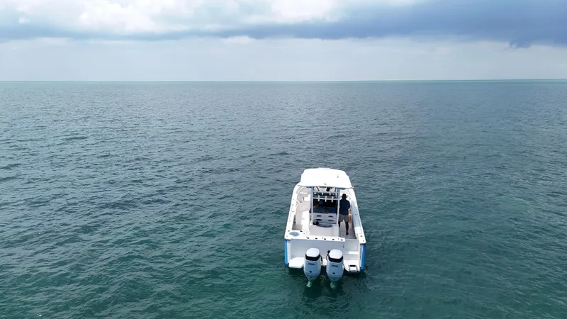 Slide: The Image of 2024 Sea Born SX281 Offshore LE boat on open water. - 5