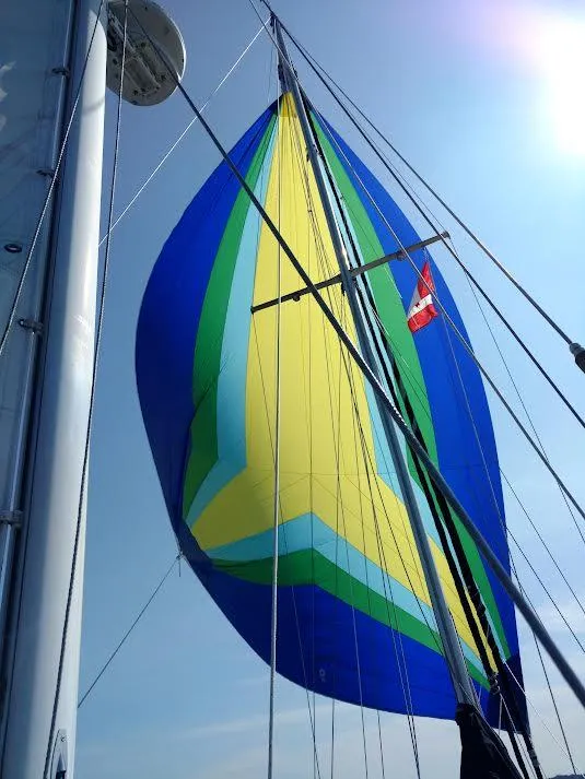 Slide: The Image of Newer spinnaker - 9