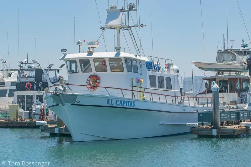 Slide: The Image of Blanchard Passenger Sportfisher 1975 - 105