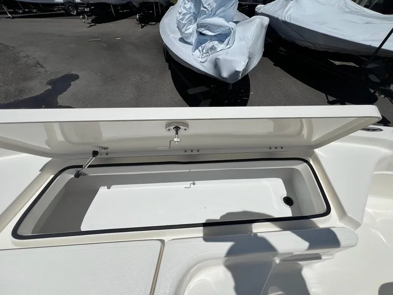 Slide: The Image of Skeeter SX221 2025 - 25