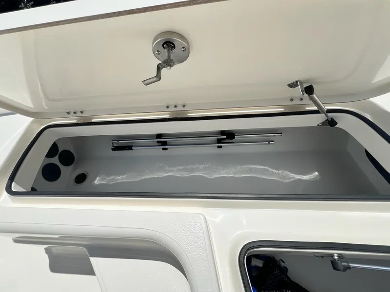 Slide: The Image of Skeeter SX221 2025 - 42