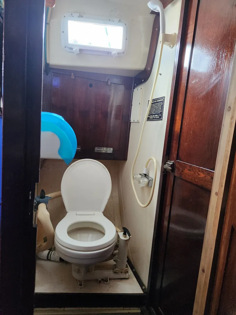 Slide: The Image of Allied Princess 1973 - 12