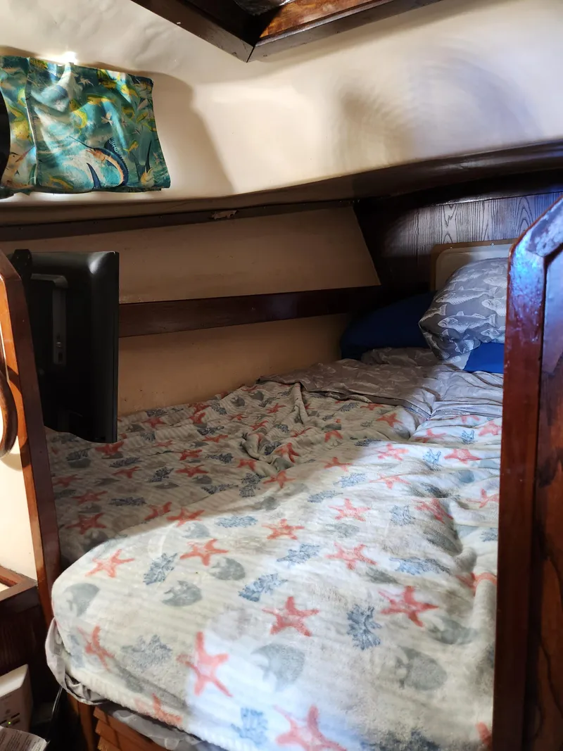 Slide: The Image of Allied Princess 1973 - 16