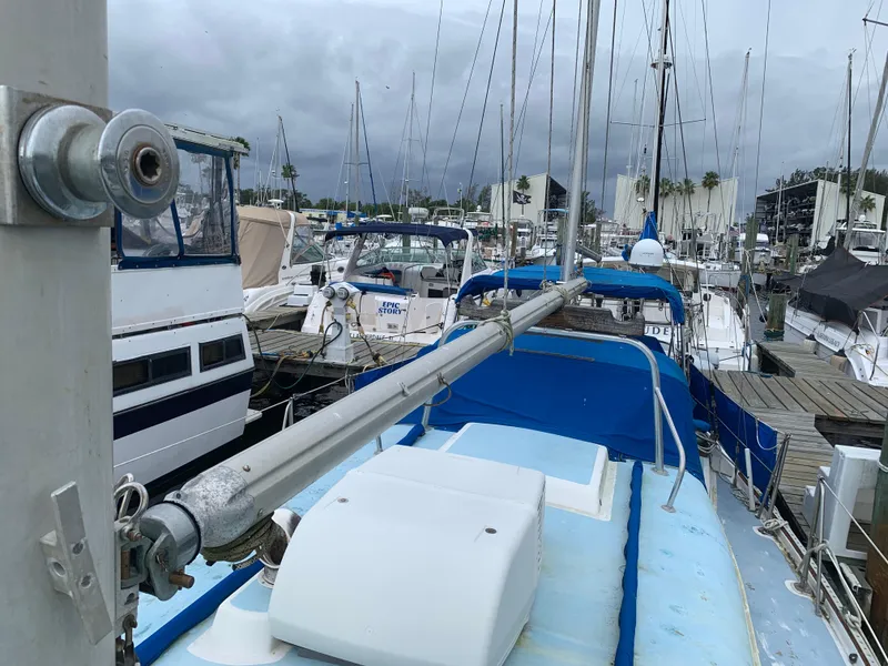 Slide: The Image of Allied Princess 1973 - 2