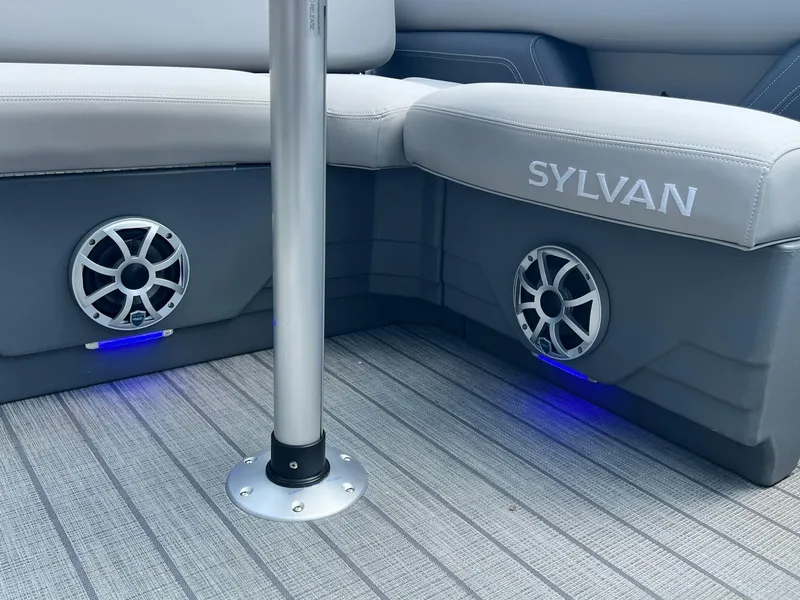 Slide: The Image of Sylvan L5 CLZ DH 2025 - 19