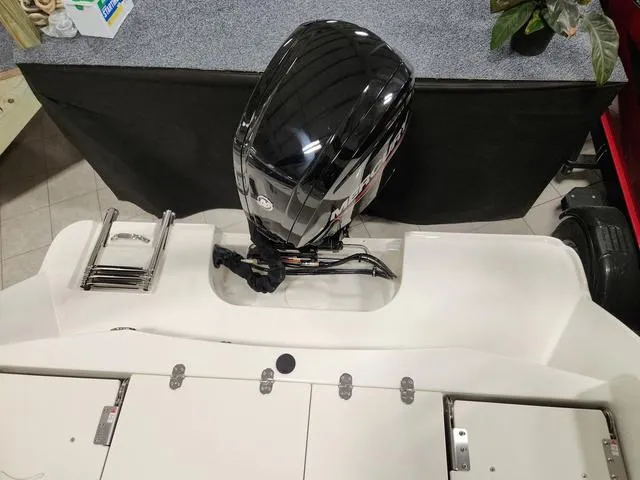 Slide: The Image of 2023 Stingray 173CC boat with outboard motor and swim ladder. - 26
