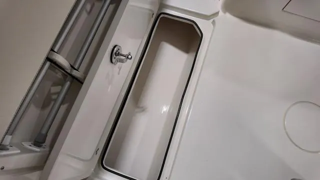 Slide: The Image of Stingray 269DC 2024 - 10