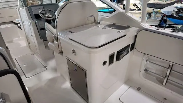 Slide: The Image of Stingray 269DC 2024 - 13