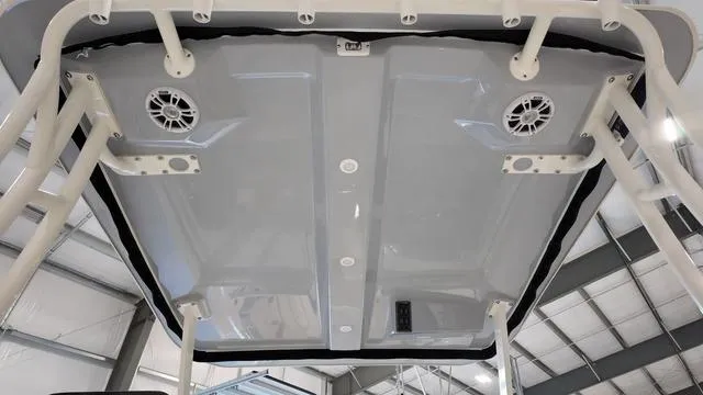 Slide: The Image of Stingray 269DC 2024 - 16