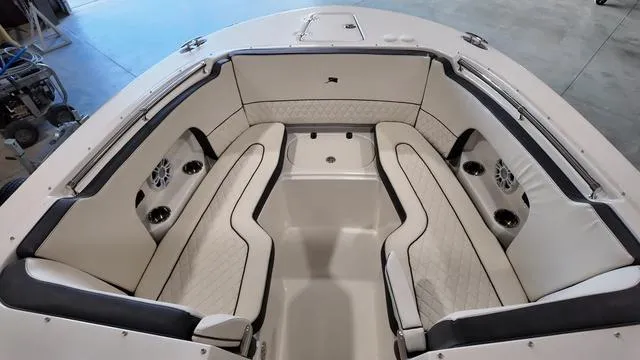 Slide: The Image of Stingray 269DC 2024 - 29