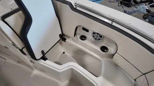 Slide: The Image of Stingray 269DC 2024 - 31