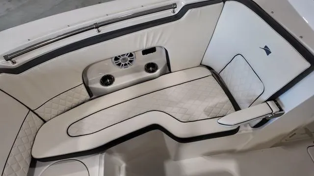 Slide: The Image of Stingray 269DC 2024 - 32