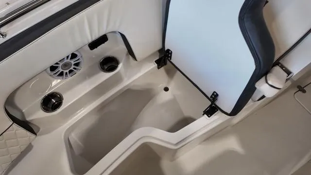 Slide: The Image of Stingray 269DC 2024 - 33