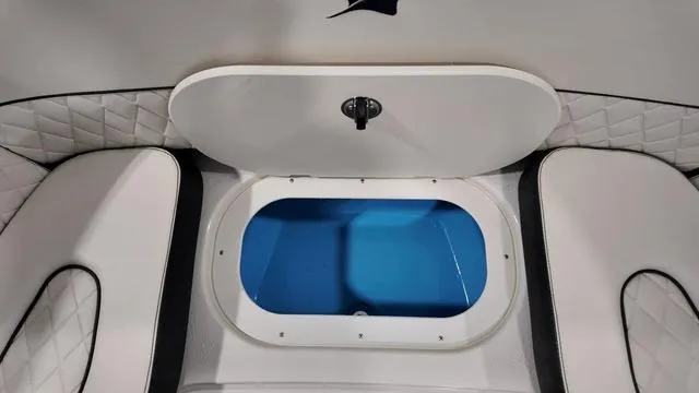 Slide: The Image of Stingray 269DC 2024 - 34