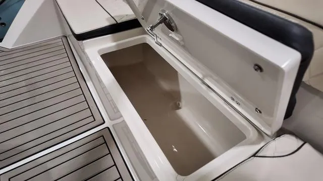 Slide: The Image of Stingray 269DC 2024 - 6