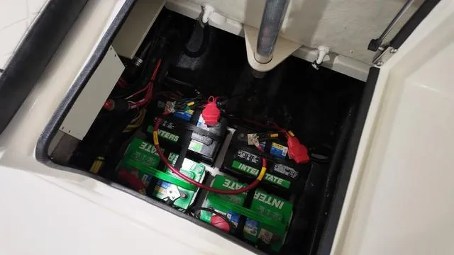 Slide: The Image of Stingray 269DC 2024 - 8