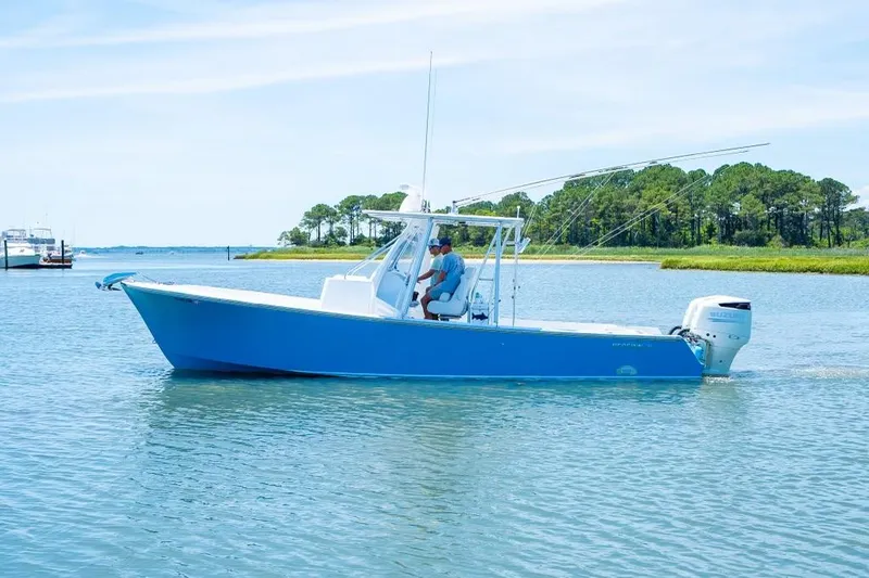 Slide: The Image of Blue Custom 31 boat cruising on calm water, 2020 model. - 13