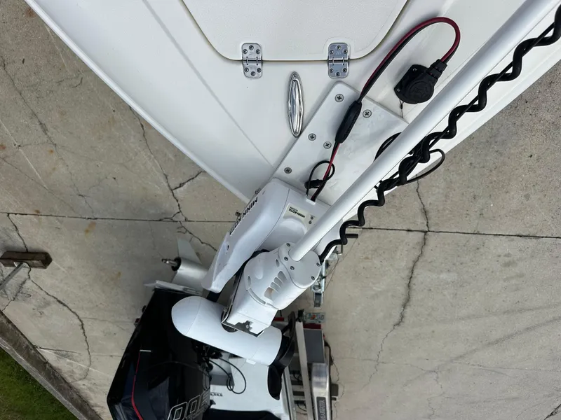 Slide: The Image of Blackwood 27HD 2023 - 60