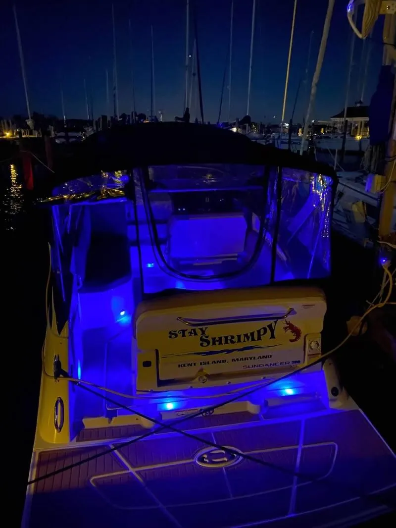 Slide: The Image of 2018 Sea Ray Sundancer 260 with blue LED lights at night in a marina. - 13