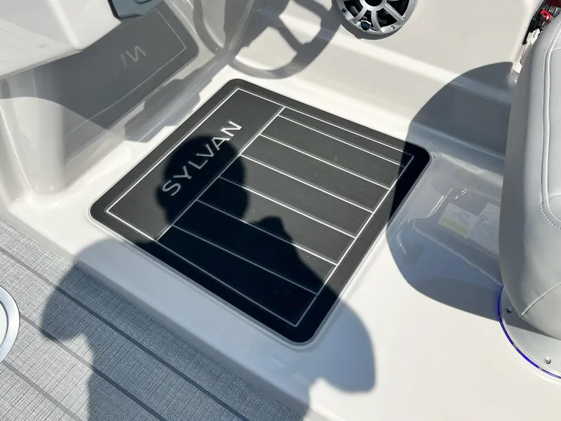 Slide: The Image of Sylvan L5 DLZ 2025 - 34