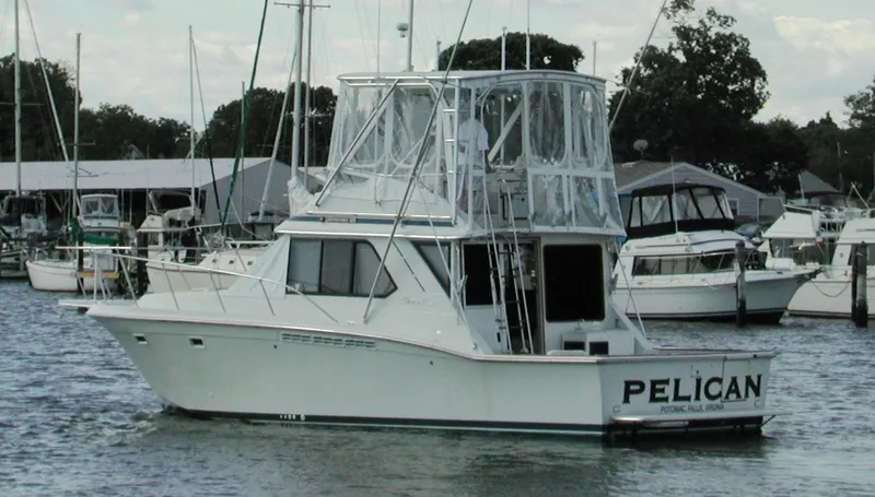 The Image of 1989 Chris-Craft 392 Commander boat named Pelican docked in a marina. - 0