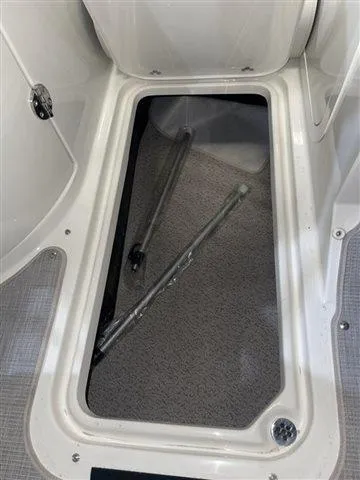 Slide: The Image of Stingray 231DC W/Suzuki 250 2023 - 5