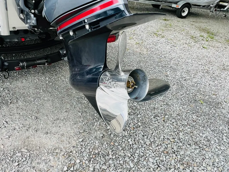 Slide: The Image of Skeeter ZXR 21 2025 - 24