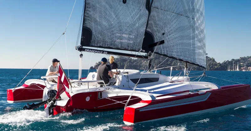 Slide: The Image of Dragonfly 25 - 1