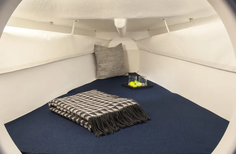 Slide: The Image of Dragonfly 25 interior - 8