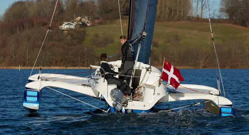 The Image of Dragonfly 28 - 0