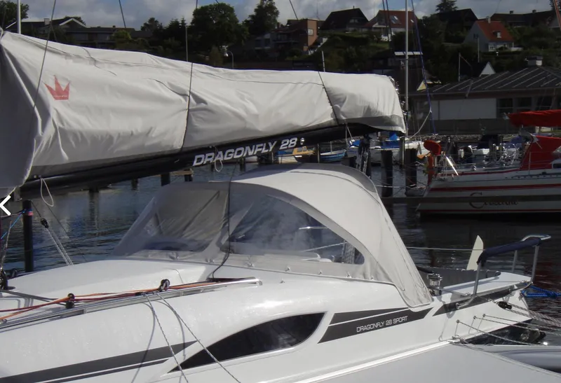 Slide: The Image of Dragonfly 28 - 4