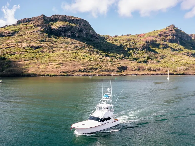 Slide: The Image of 1997 Buddy Davis Sportfisher Convertible cruising in scenic waters near lush, hilly landscape. - 7