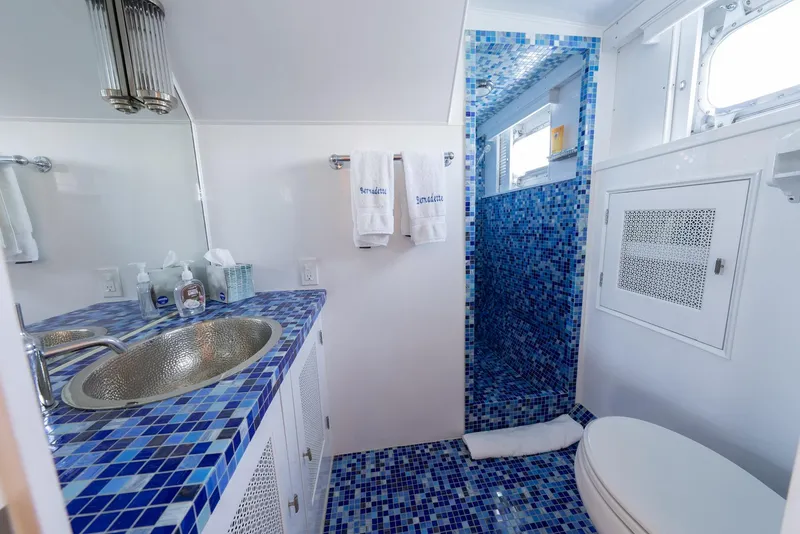 Slide: The Image of Owner's Ensuite Head - 9