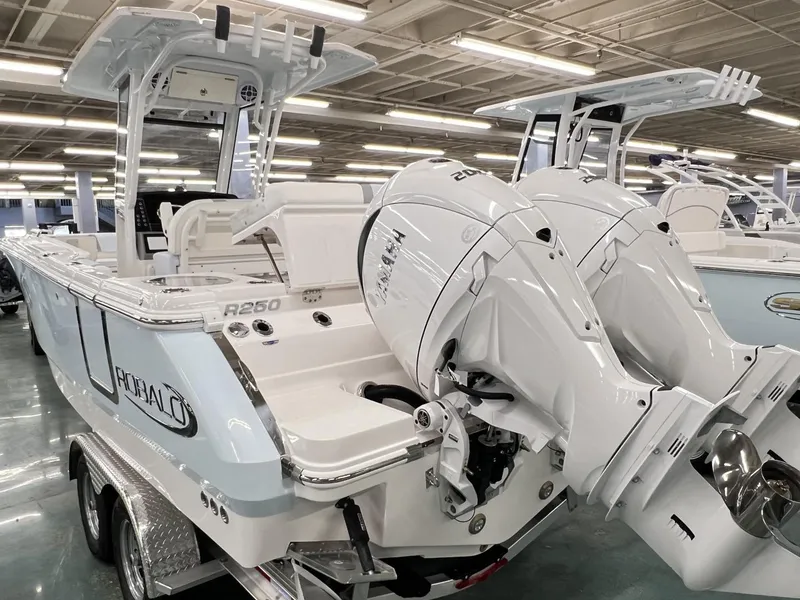 Slide: The Image of Robalo R250 Center Console 2025 - 16