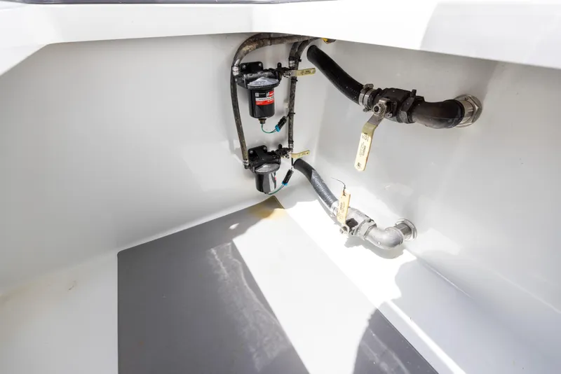 Slide: The Image of Freeman 42 LR 2019 - 66