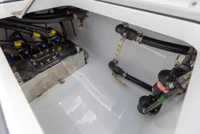 Slide: The Image of Freeman 42 LR 2019 - 69