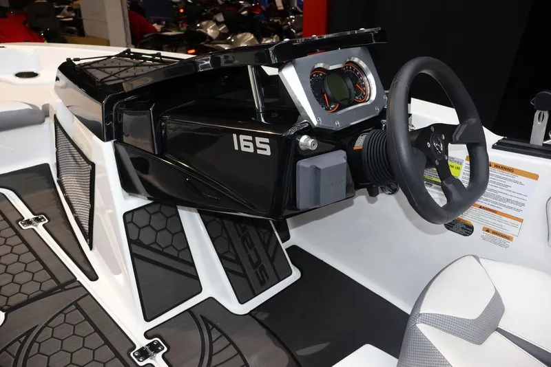 Slide: The Image of Scarab 165 ID 2024 - 14