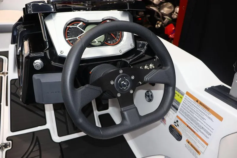 Slide: The Image of Scarab 165 ID 2024 - 15