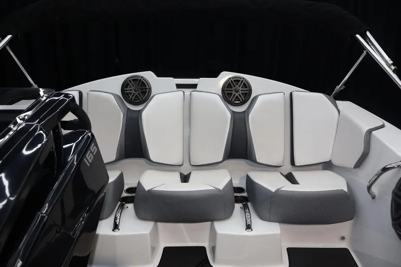 Slide: The Image of Scarab 165 ID 2024 - 17