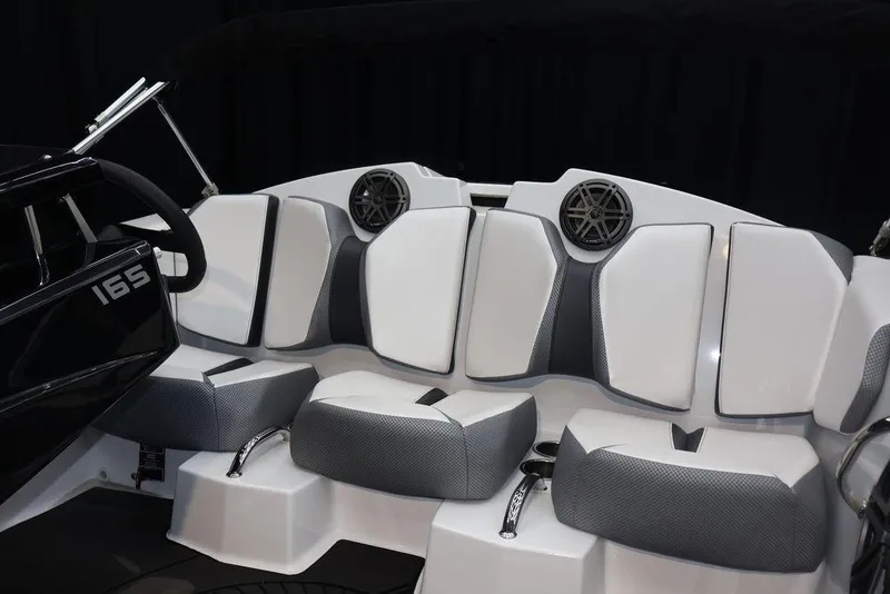 Slide: The Image of Scarab 165 ID 2024 - 18