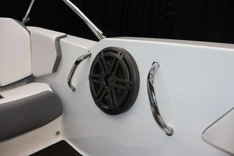 Slide: The Image of Scarab 165 ID 2024 - 20