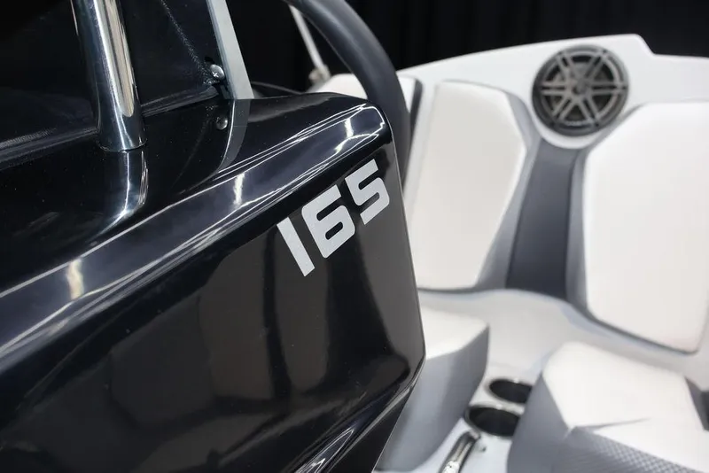 Slide: The Image of Scarab 165 ID 2024 - 21