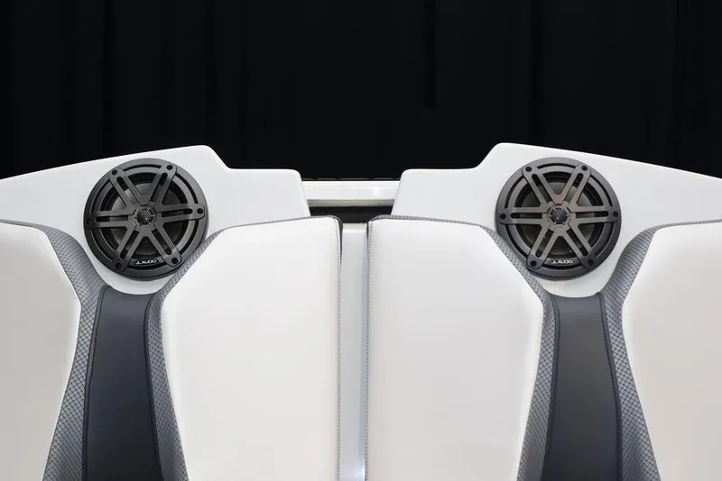 Slide: The Image of Scarab 165 ID 2024 - 22