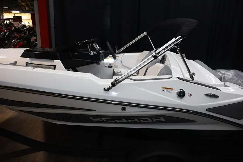 Slide: The Image of Scarab 165 ID 2024 - 3