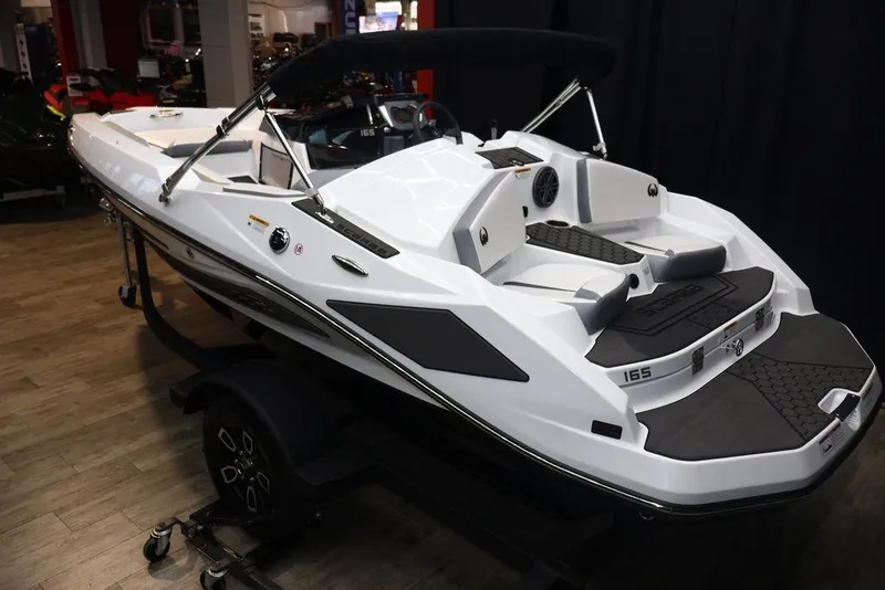 Slide: The Image of Scarab 165 ID 2024 - 4