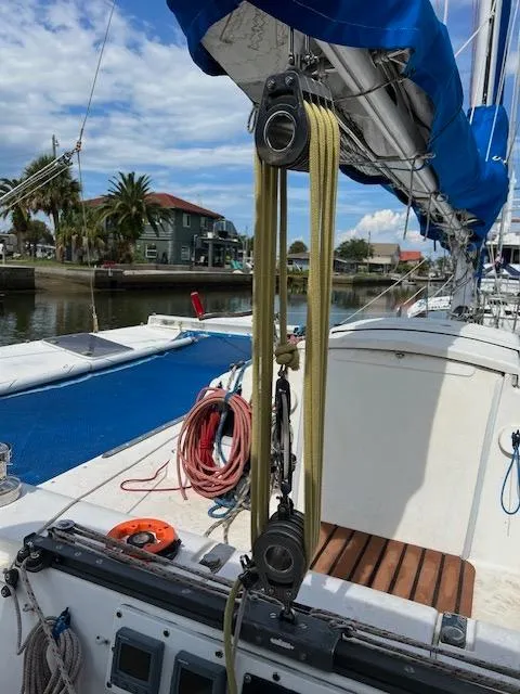 Slide: The Image of Contour 34 SC 1999 - 50