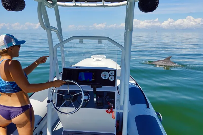 Slide: The Image of Woman on Highfield Patrol 540 observing dolphin in the sea. - 3