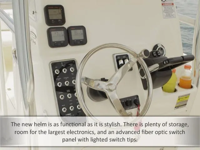 Slide: The Image of Cobia 256CC 2015 - 23